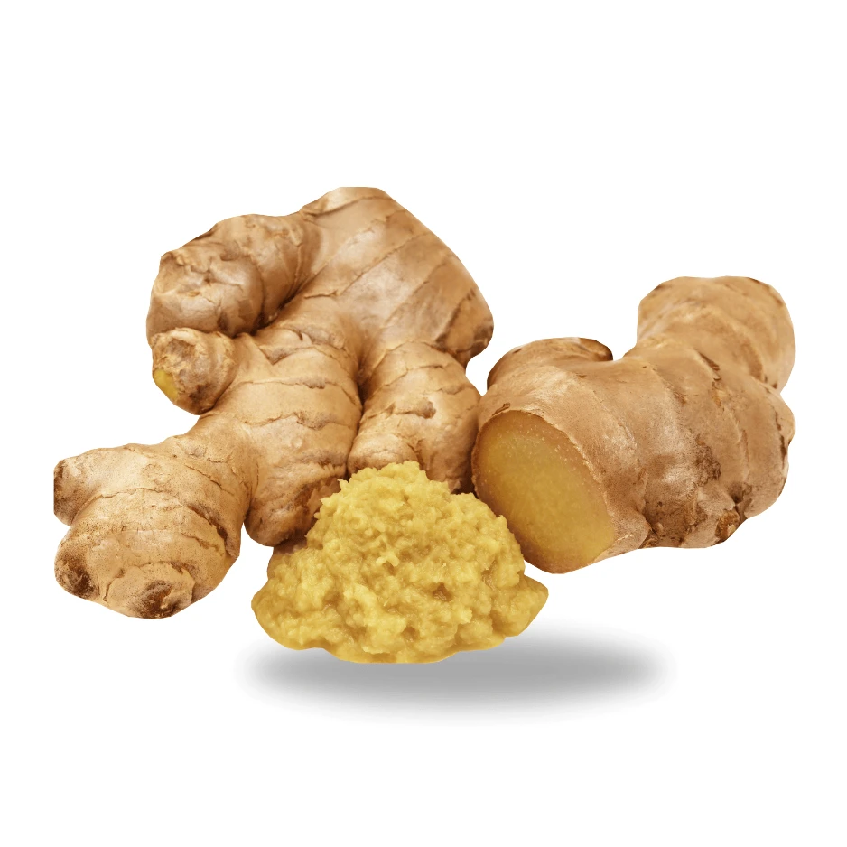 Ginger (china)