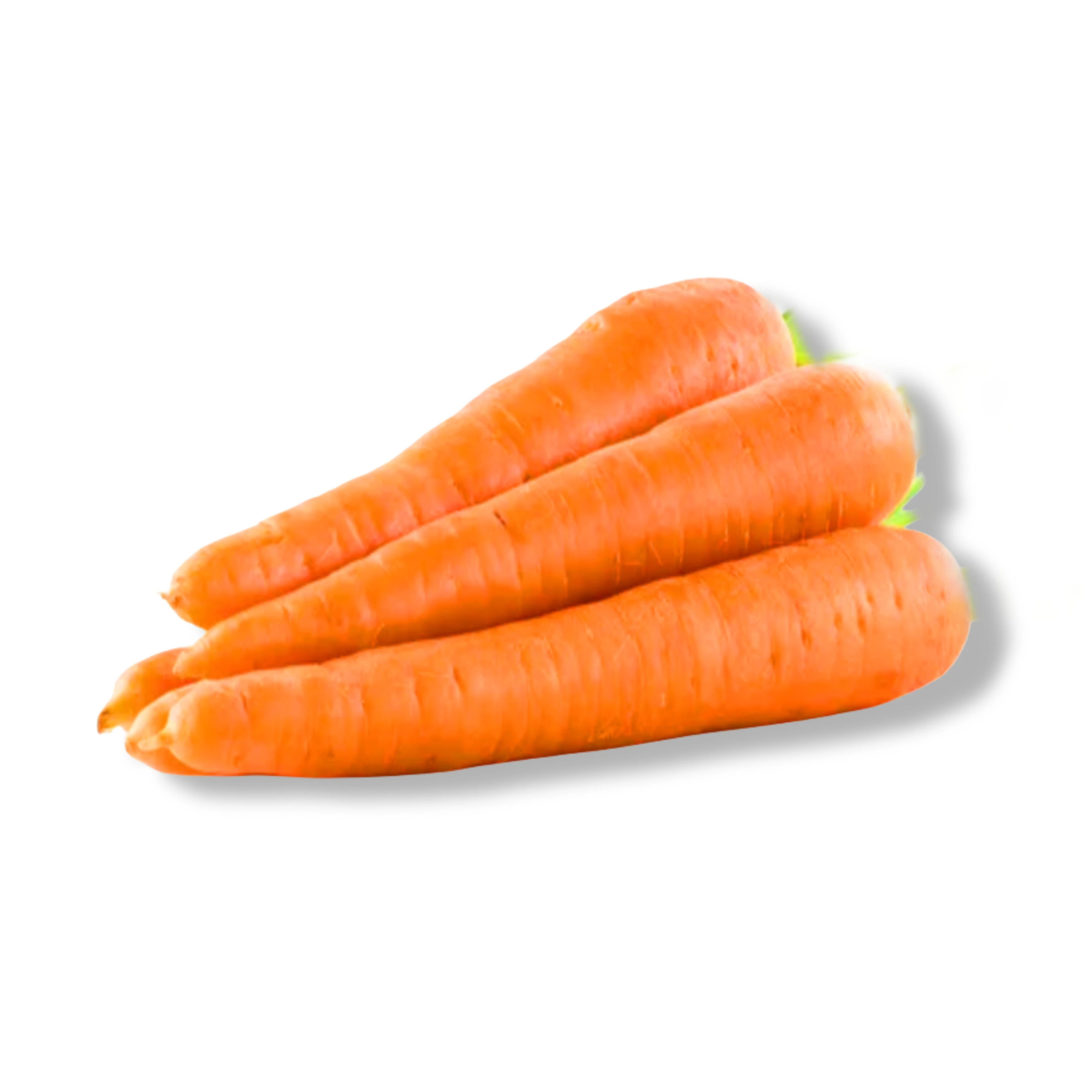 Carrot