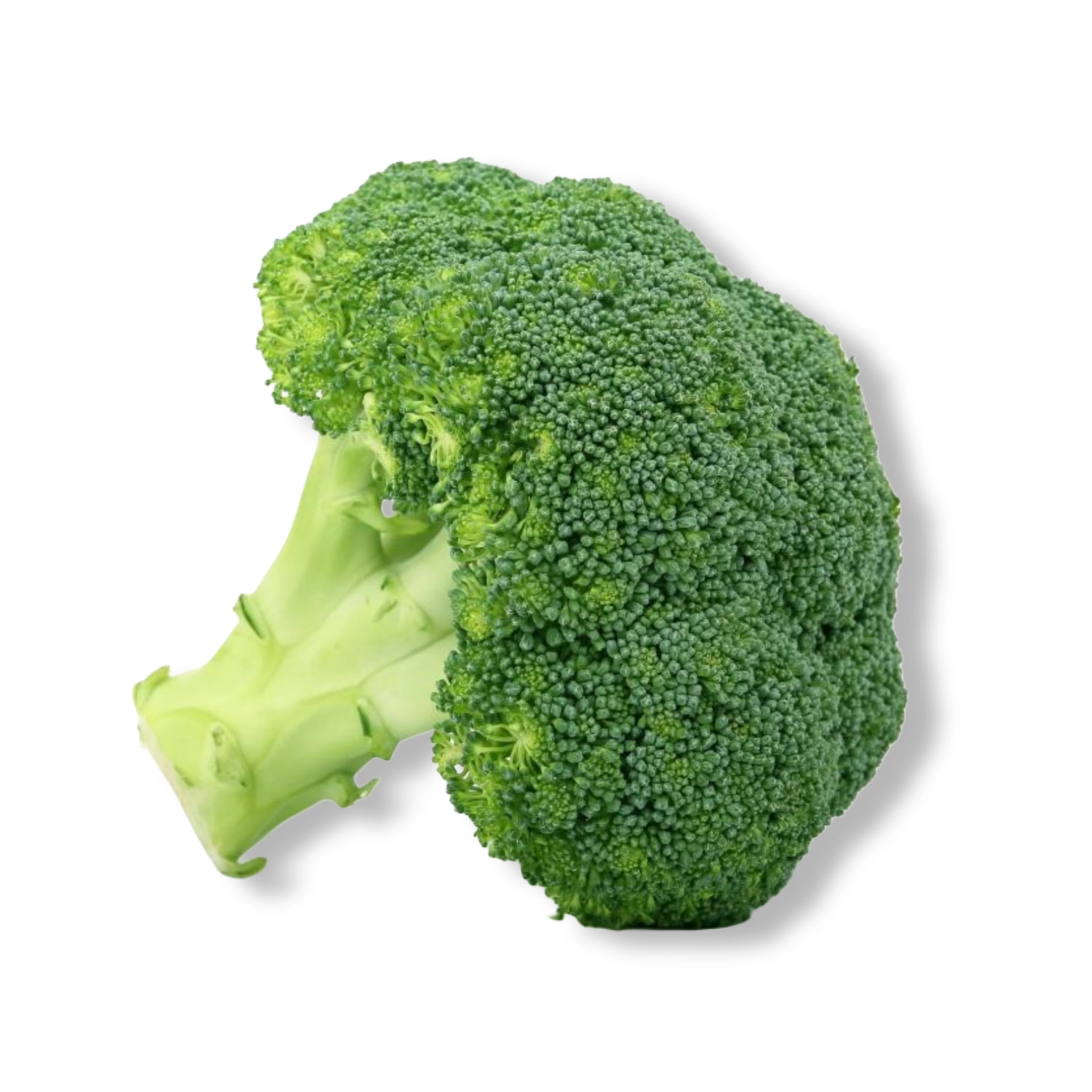 Broccoli