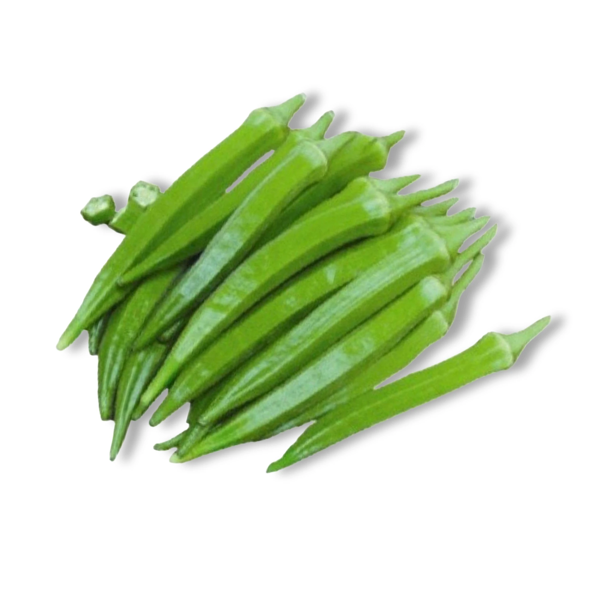 Okra Long (Bendi)