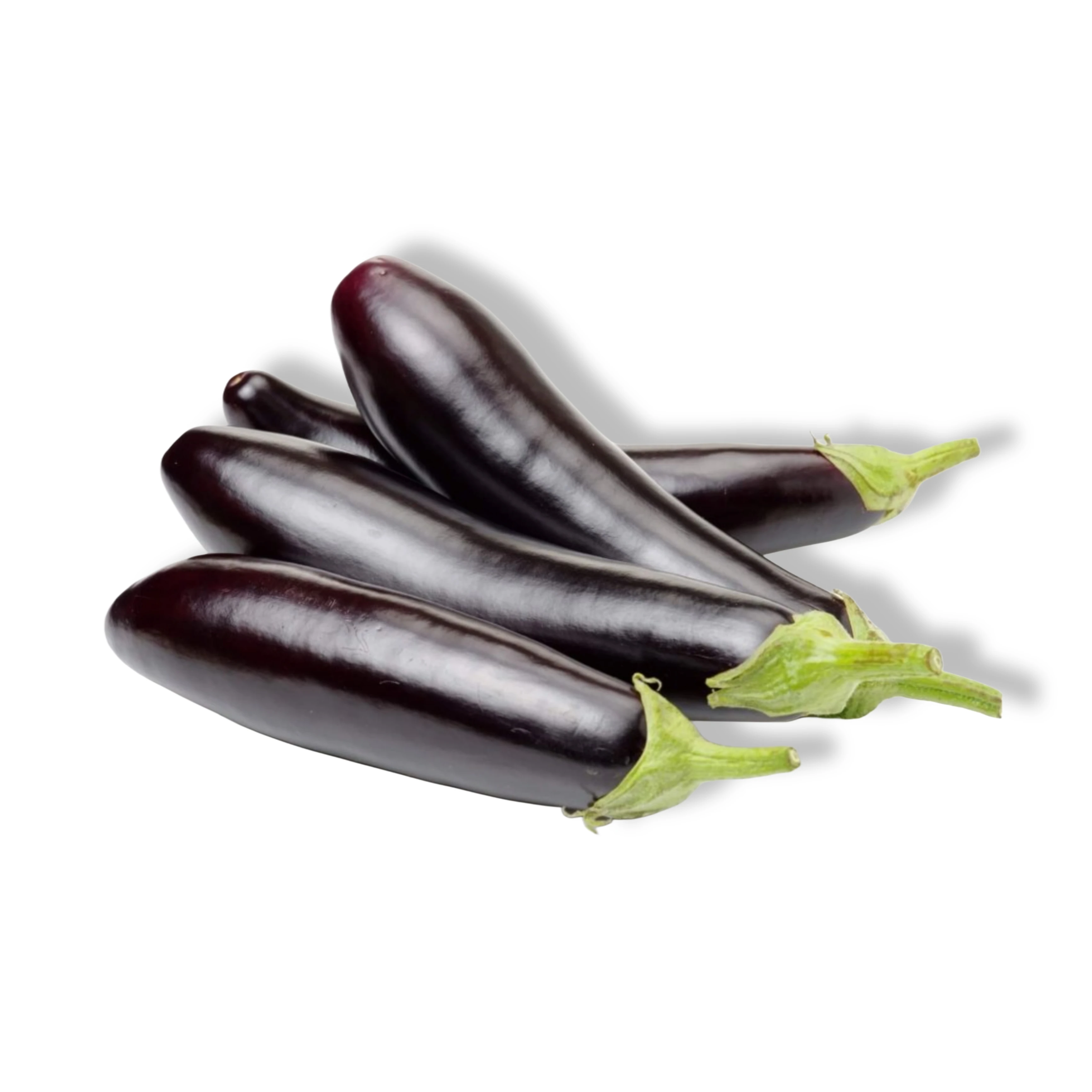 Long Eggplant