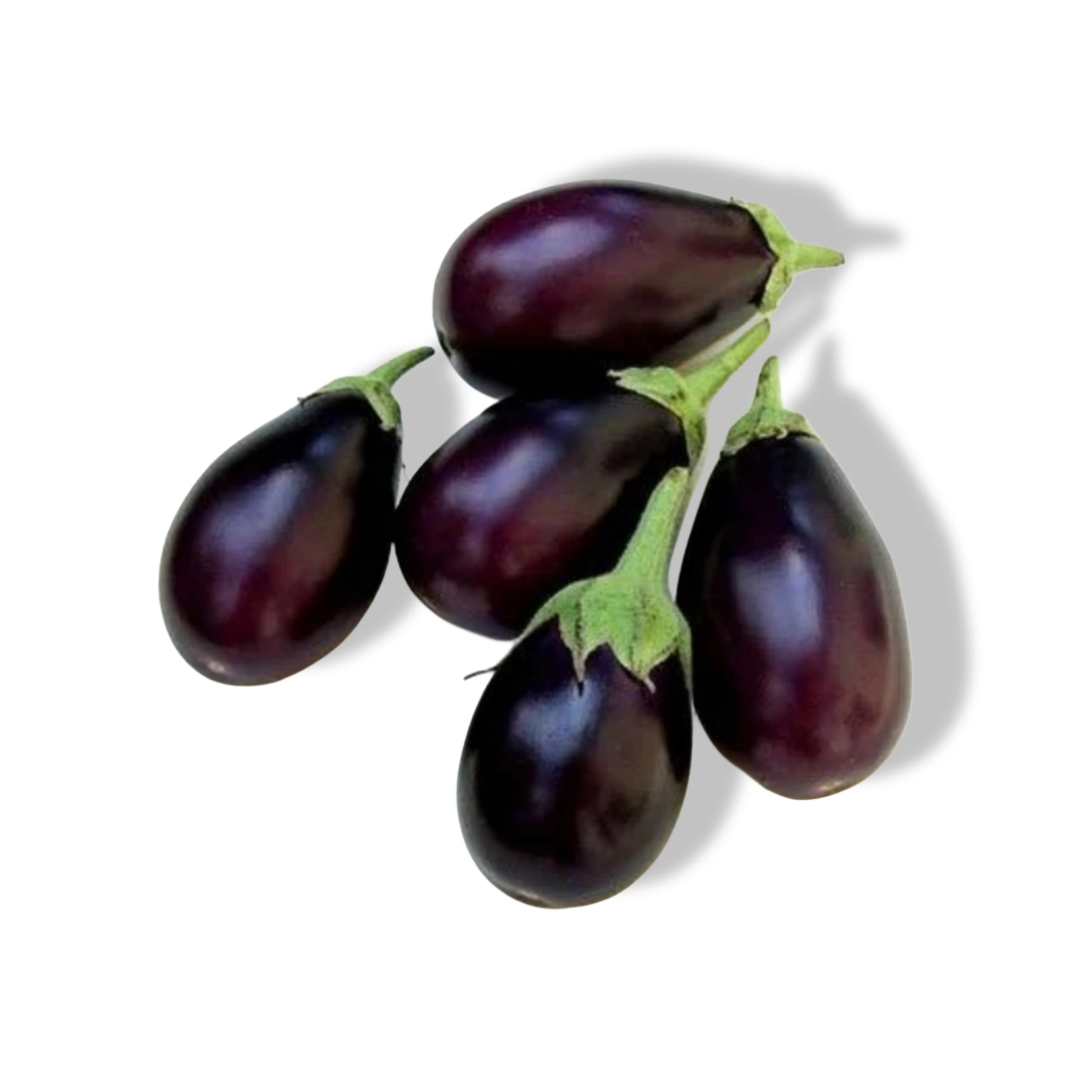 Eggplant Small round (uae)