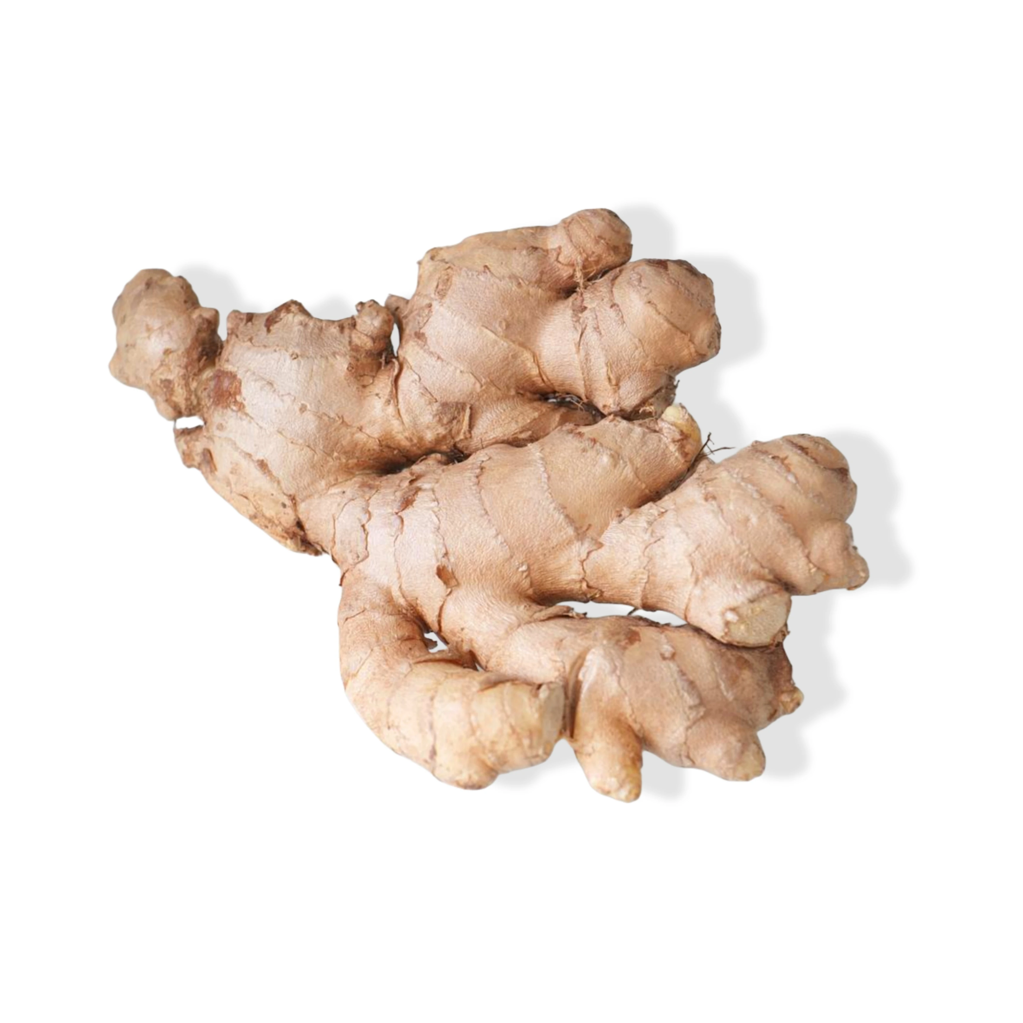 Ginger (india)