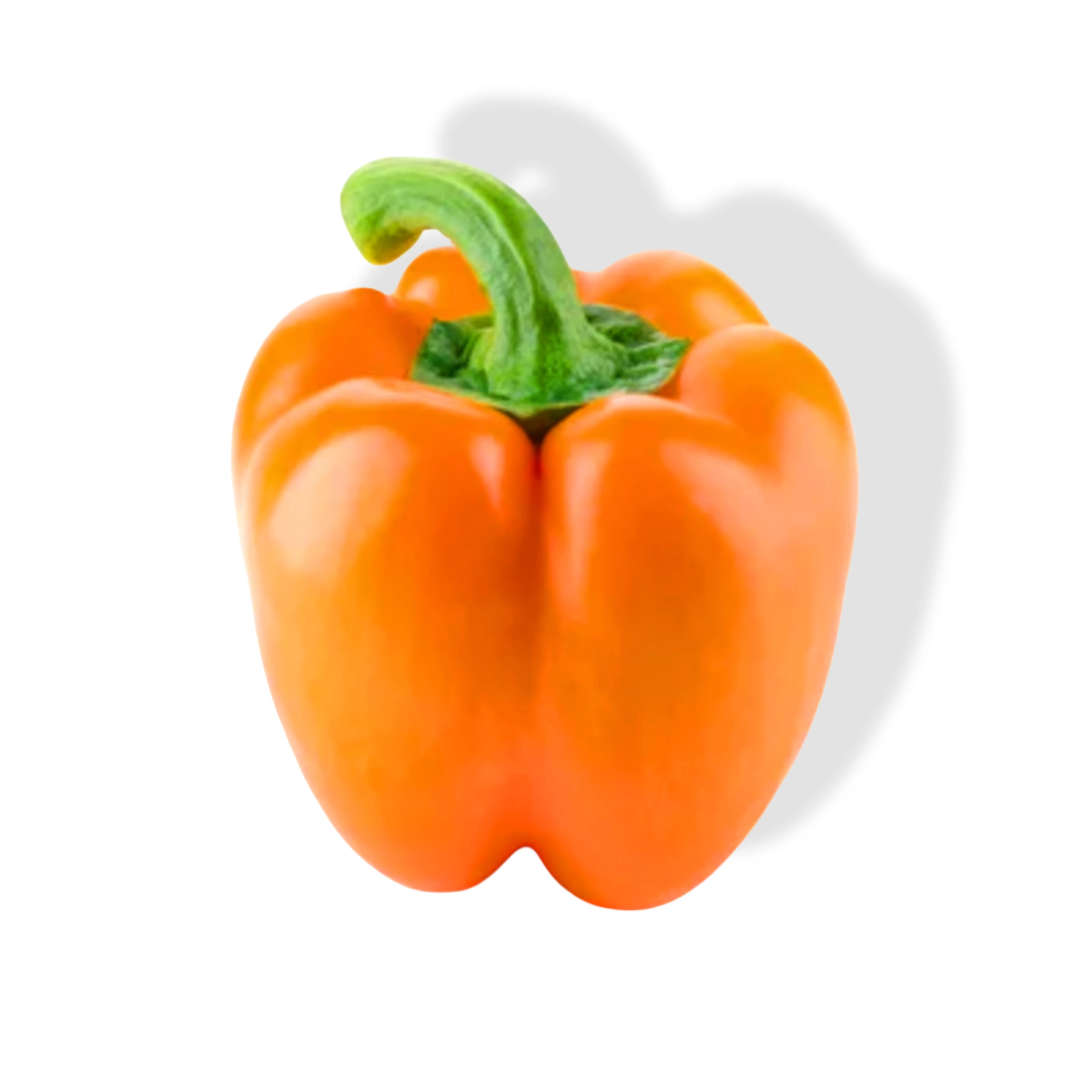 Capsicum Orange