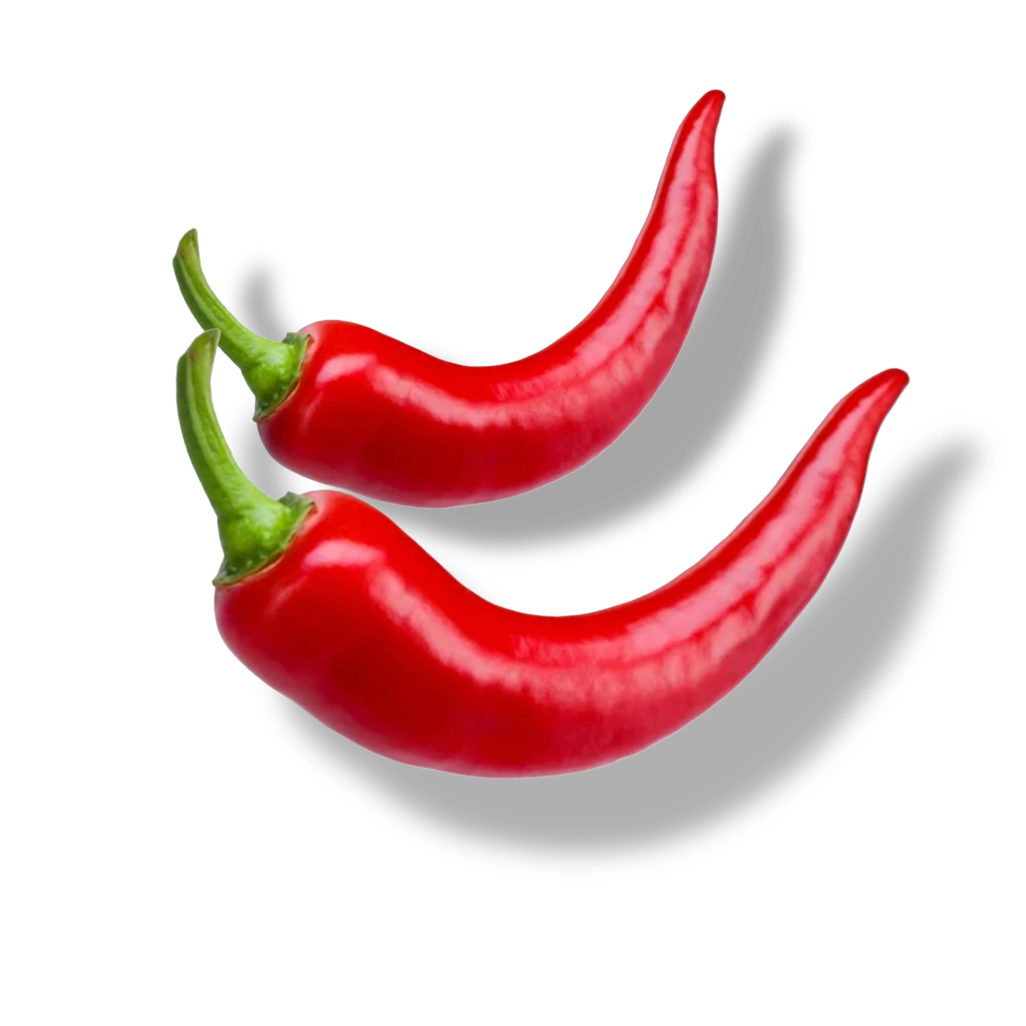 Red Long Chilli