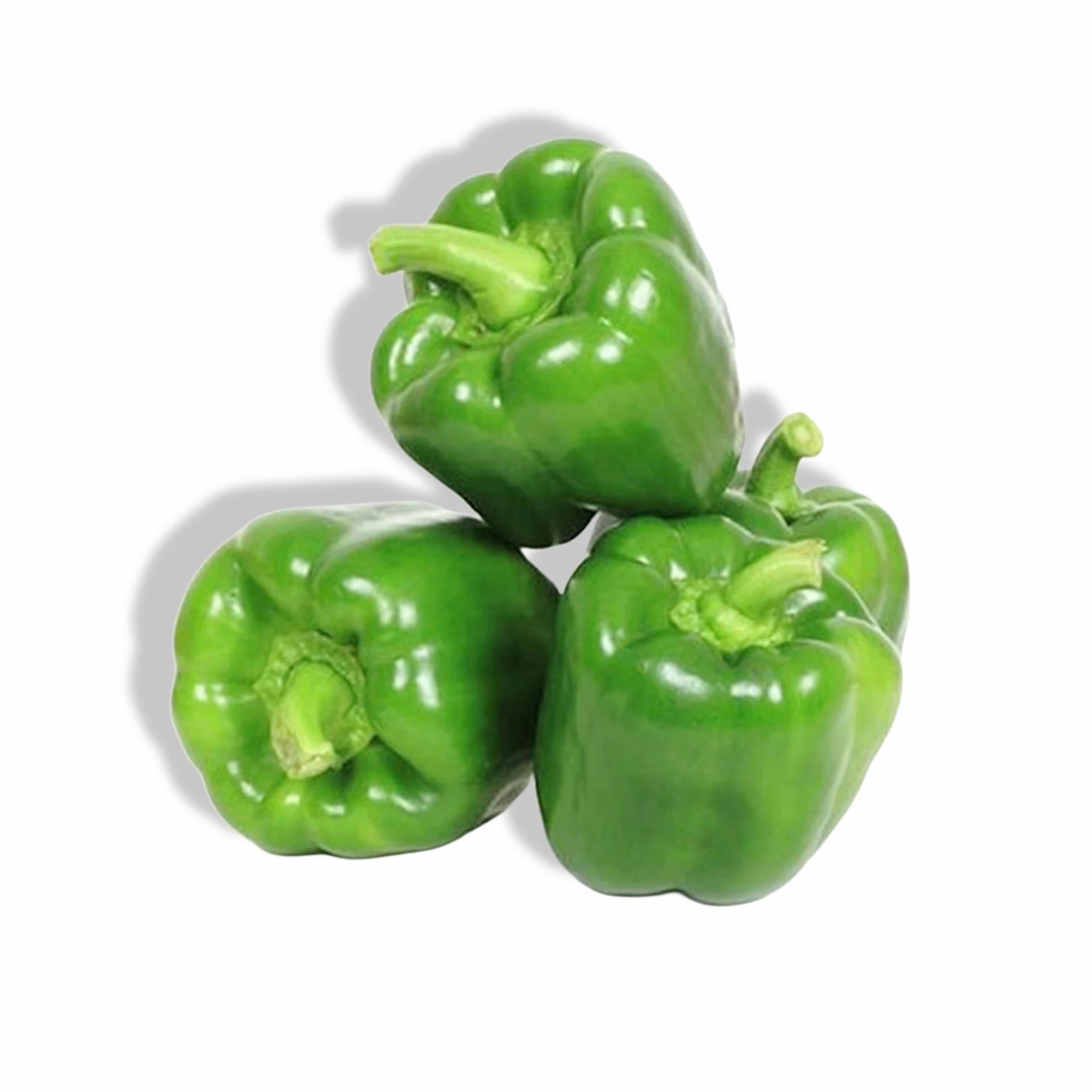 Capsicum Green