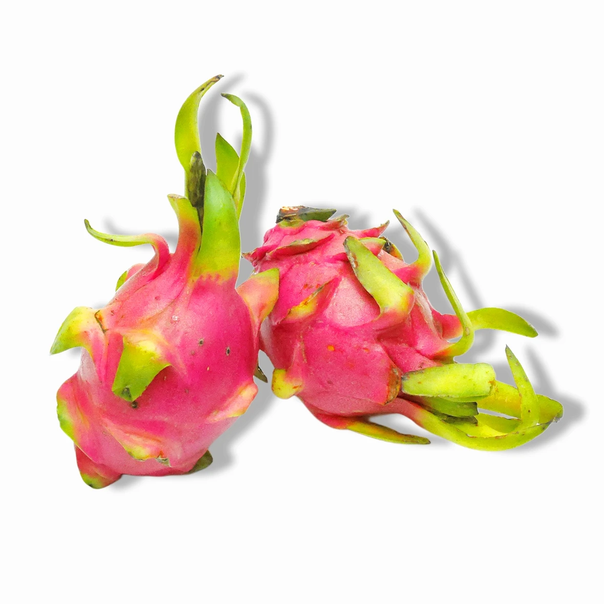 Dragon Fruit 2 piece pack