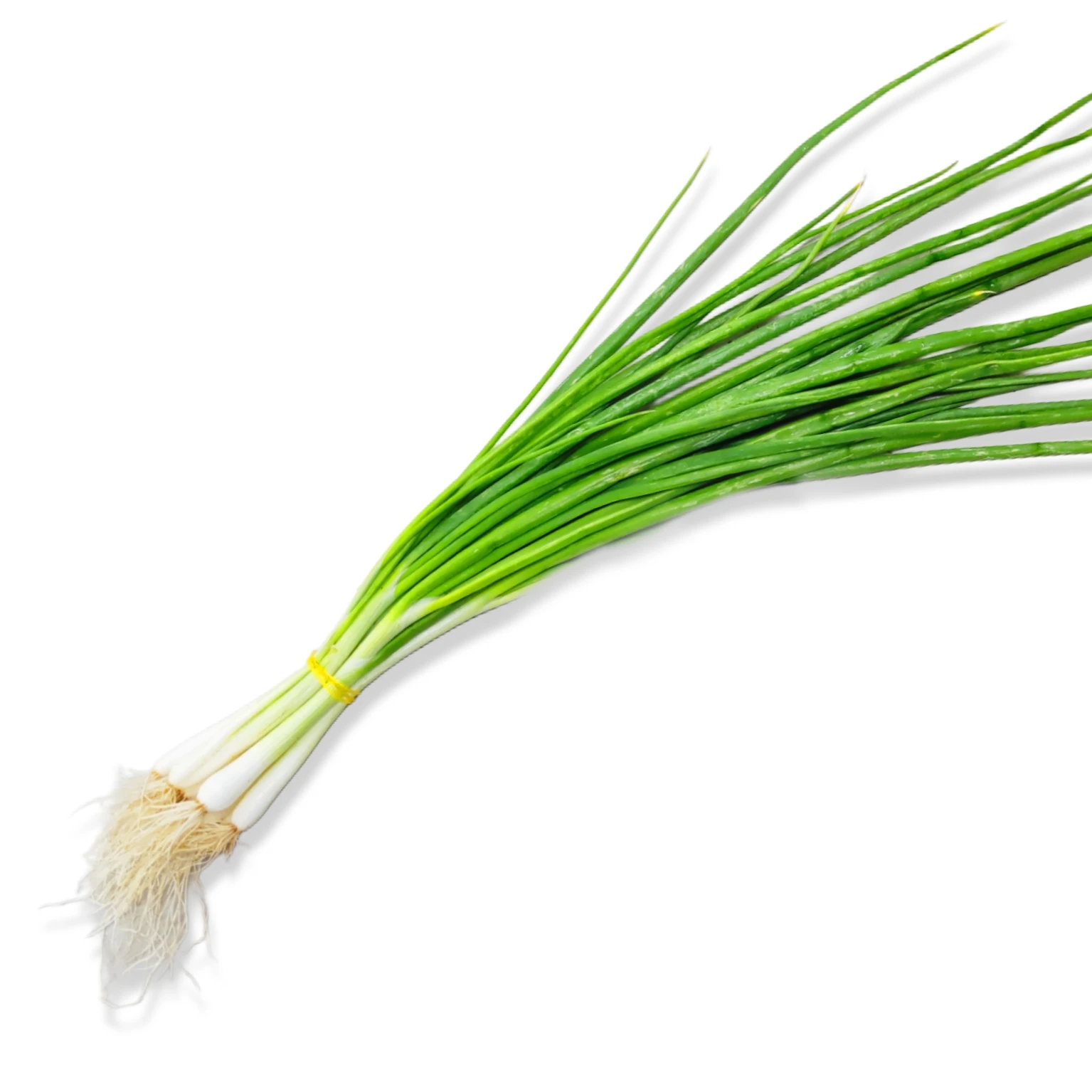 Spring Onion (UAE)