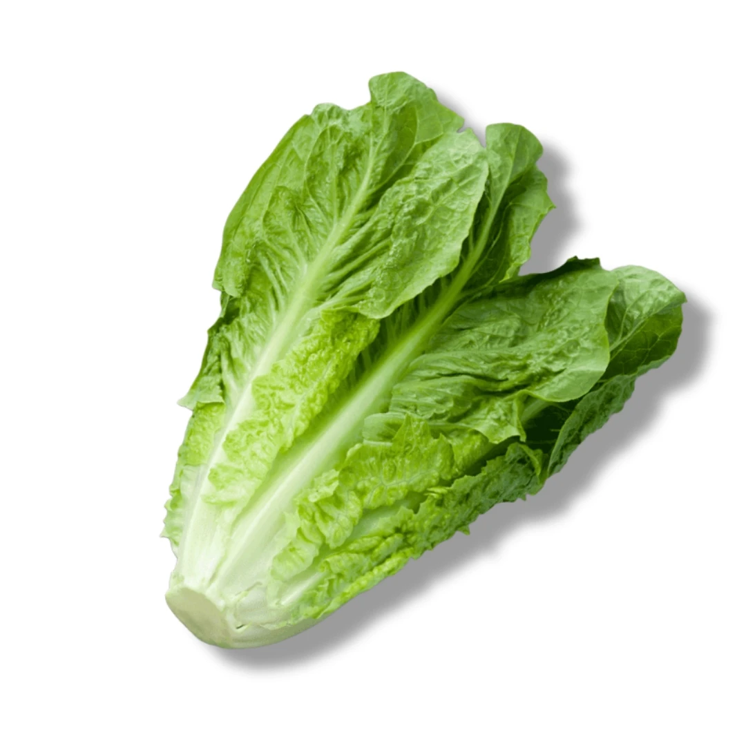 Lettuce