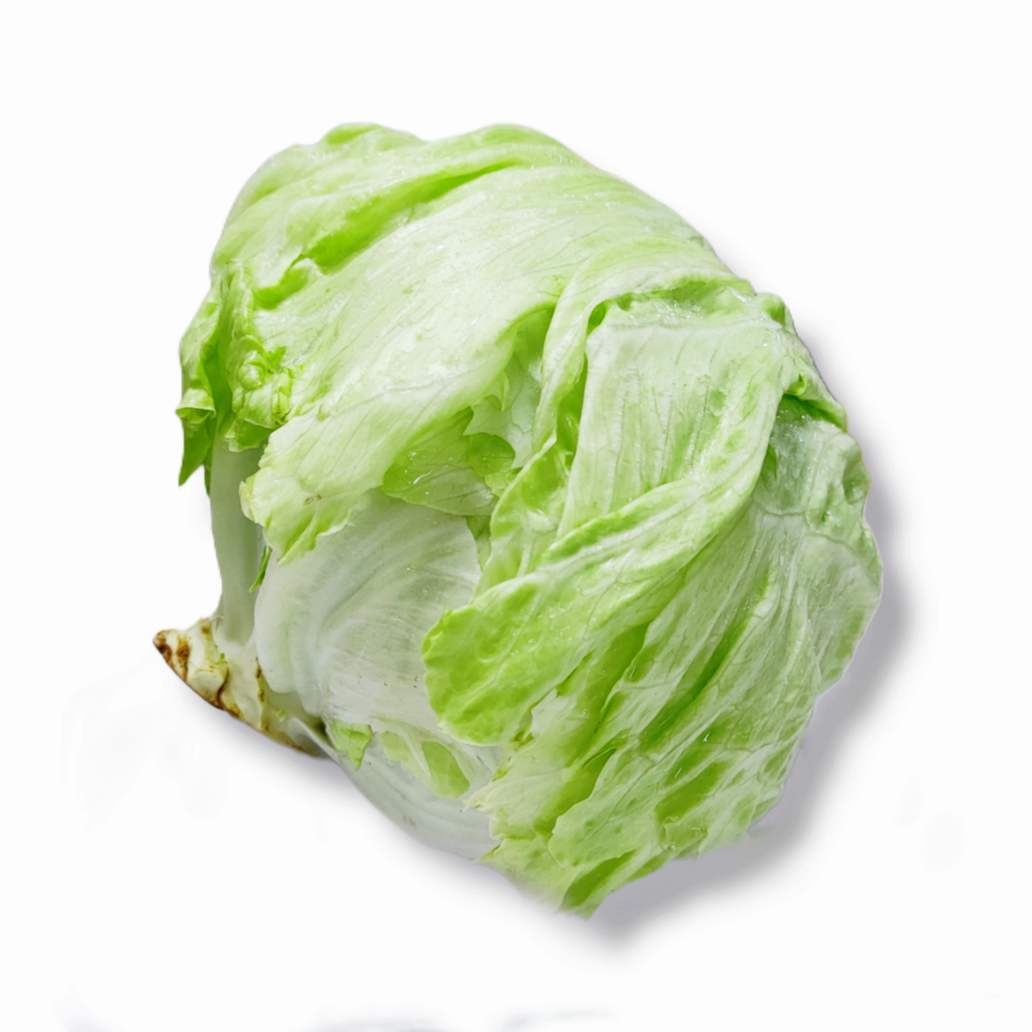 Iceberg lettuce Round (uae)